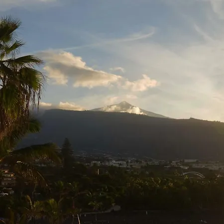 Apartament Sunshine *